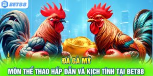 Đá Gà Mỹ – Môn Thể Thao Hấp Dẫn Và Kịch Tính Tại Bet88